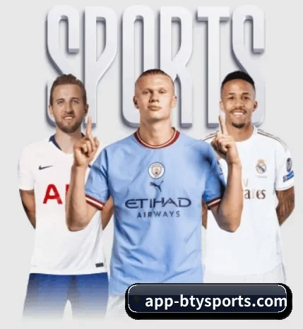 每个板块围绕一个运动项目展开 - 多运动项目内容板块（bsports）