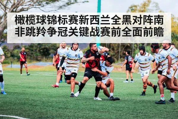 橄榄球锦标赛新西兰全黑对阵南非跳羚争冠关键战赛前全面前瞻 - bsports