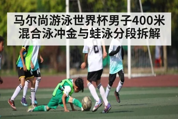 马尔尚游泳世界杯男子400米混合泳冲金与蛙泳分段拆解（bsports）